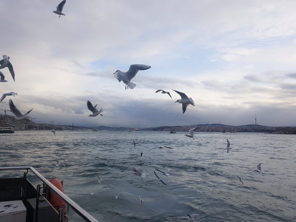 Paseo en ferry por el Bósforo