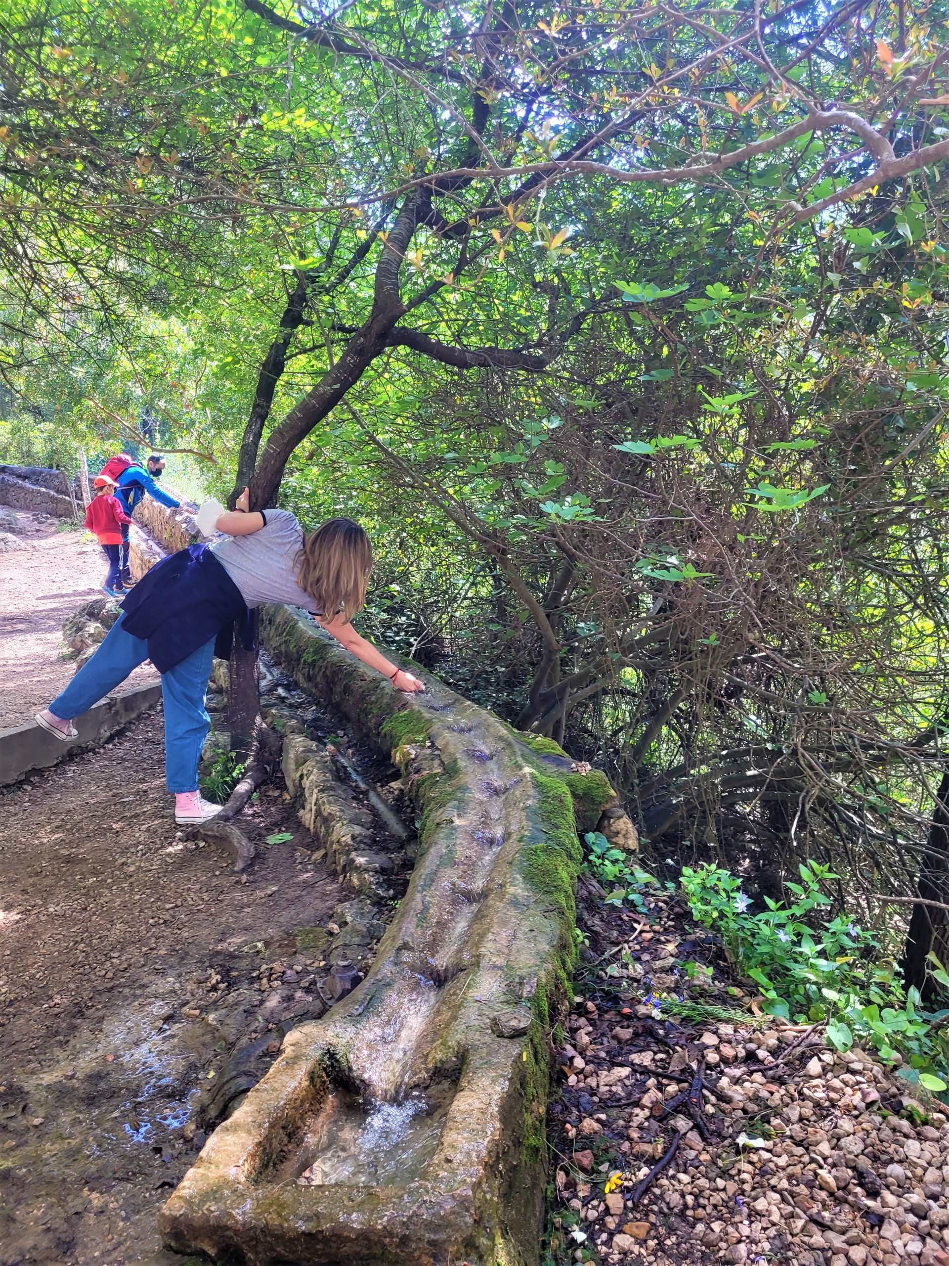 Agua del Valle de La Murta