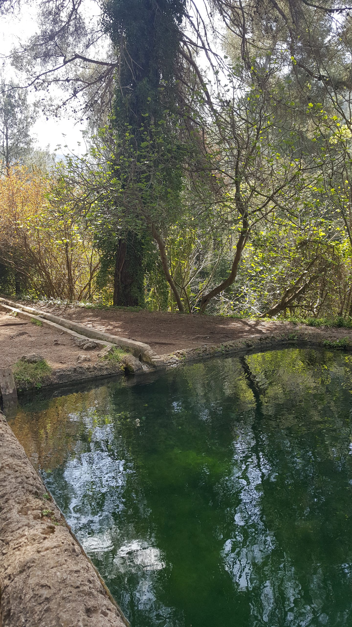 Balsa Monasterio Murta
