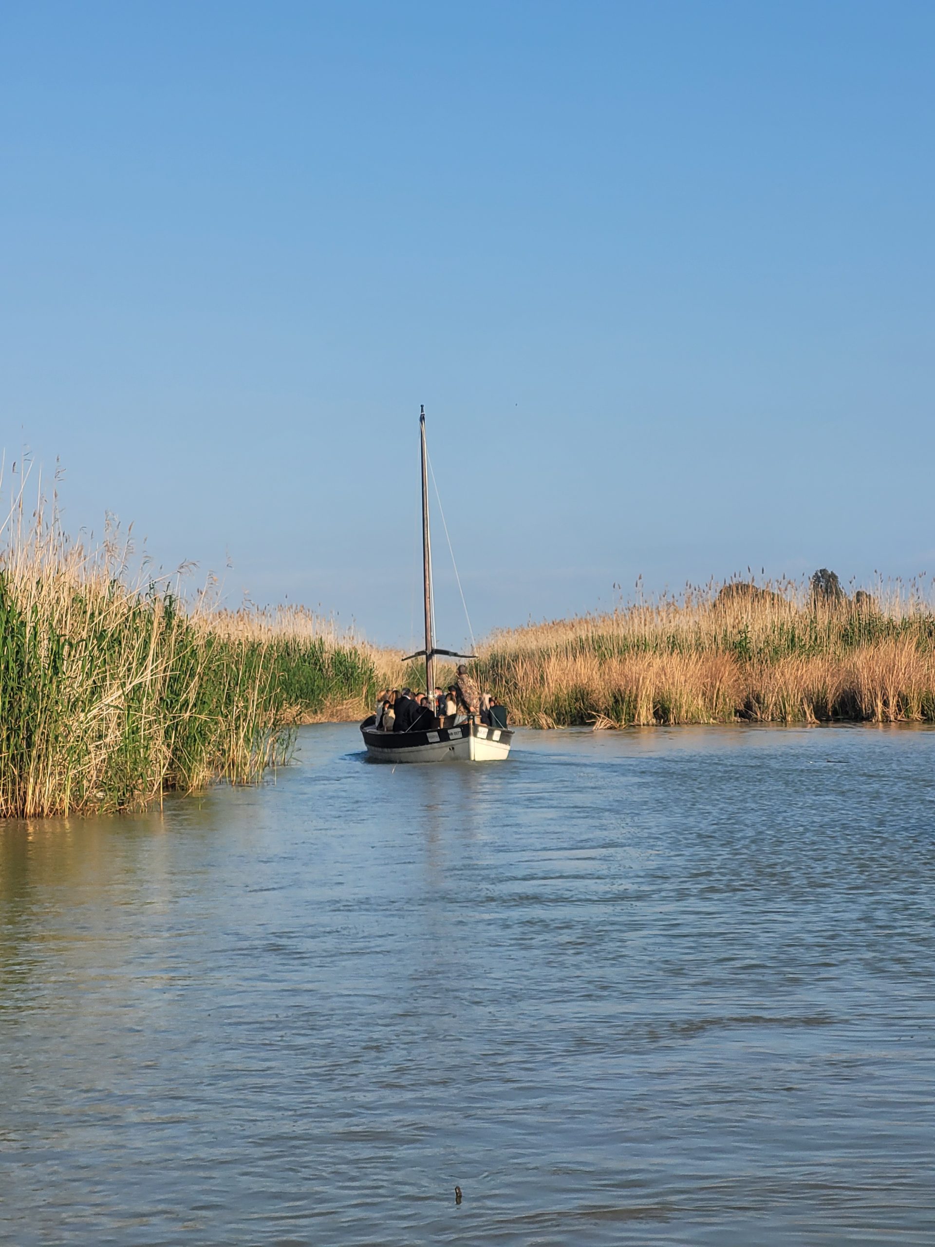 Un Día en la Albufera de Valencia, el Espejo del Sol - MissCircunstancias