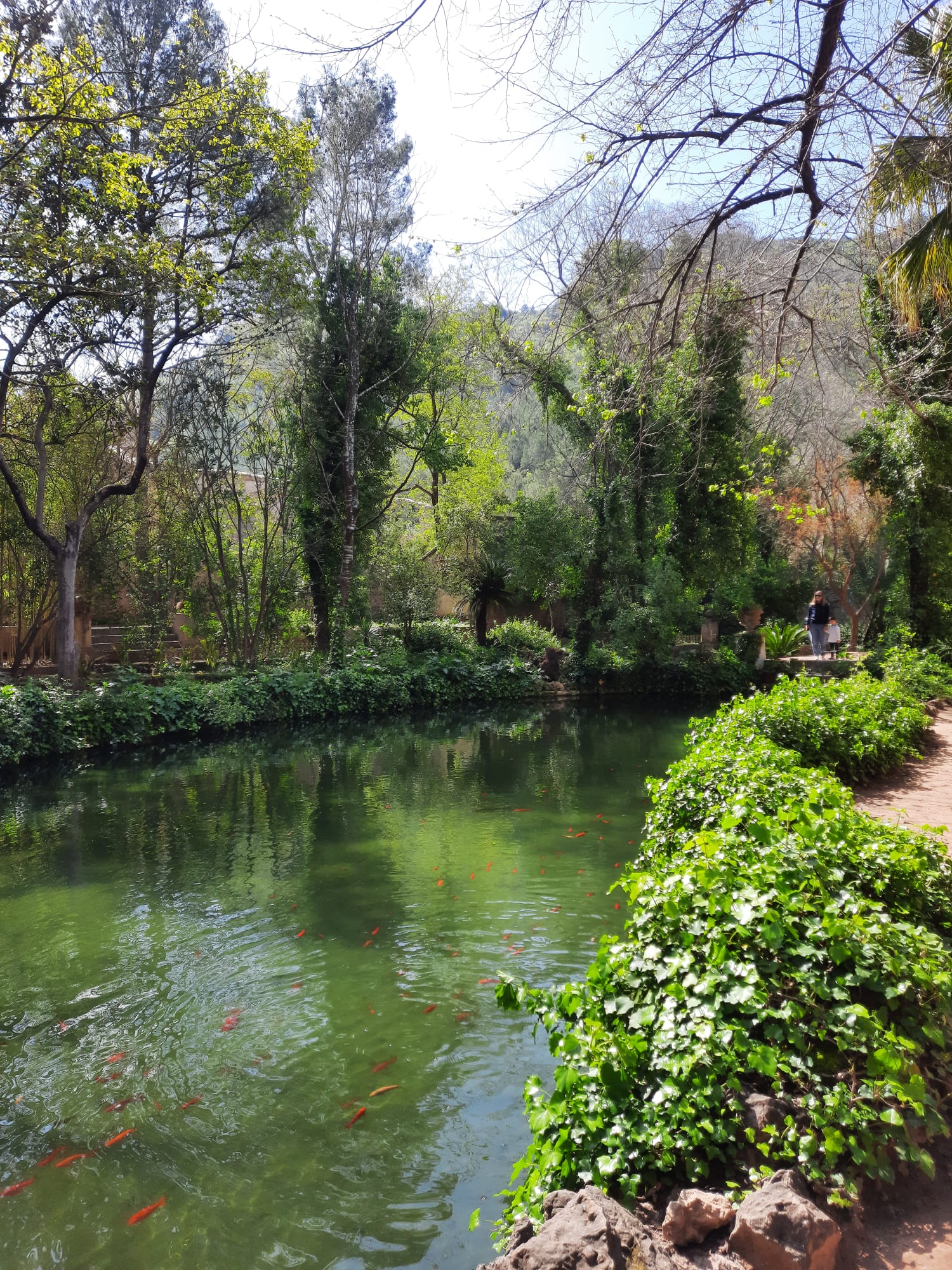 Jardín Monasterio La Murta
