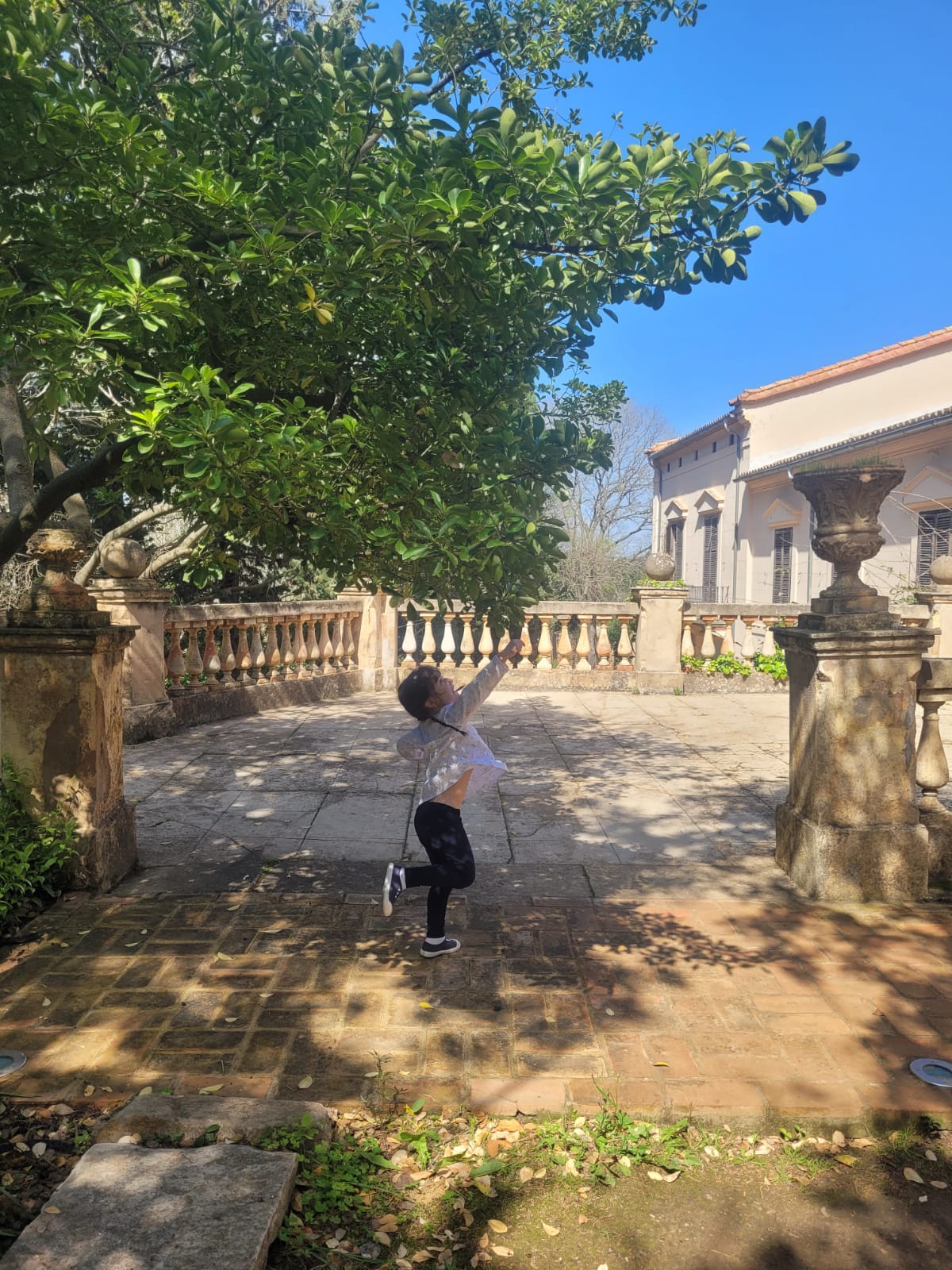 Terraza jardín Murta