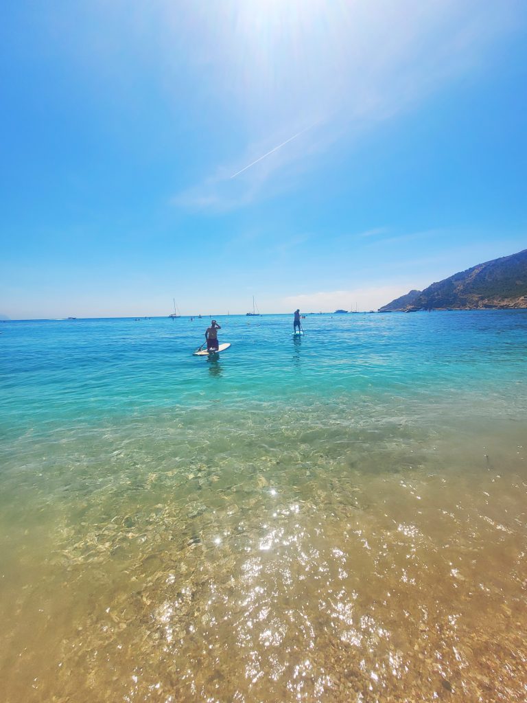 Paddle Surf