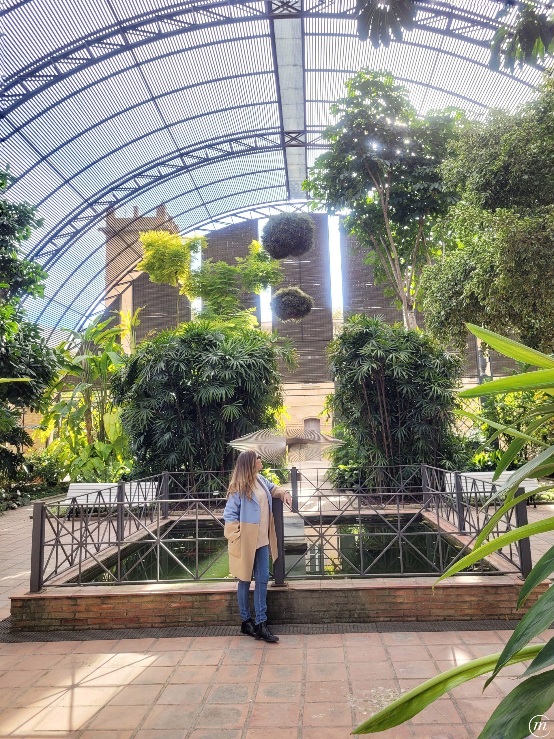 Jardín Botánico de Valencia