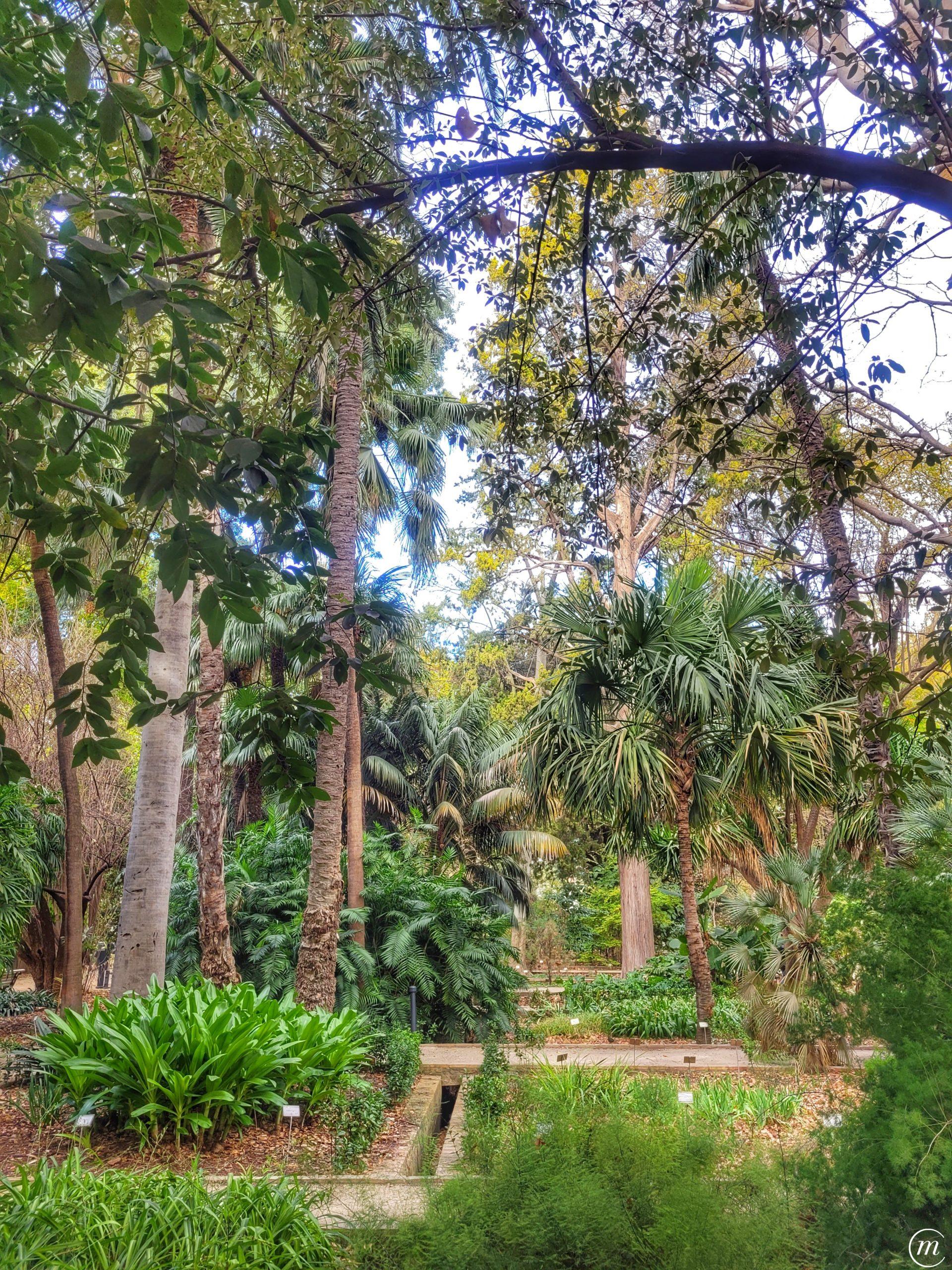Jardín Botánico Valencia