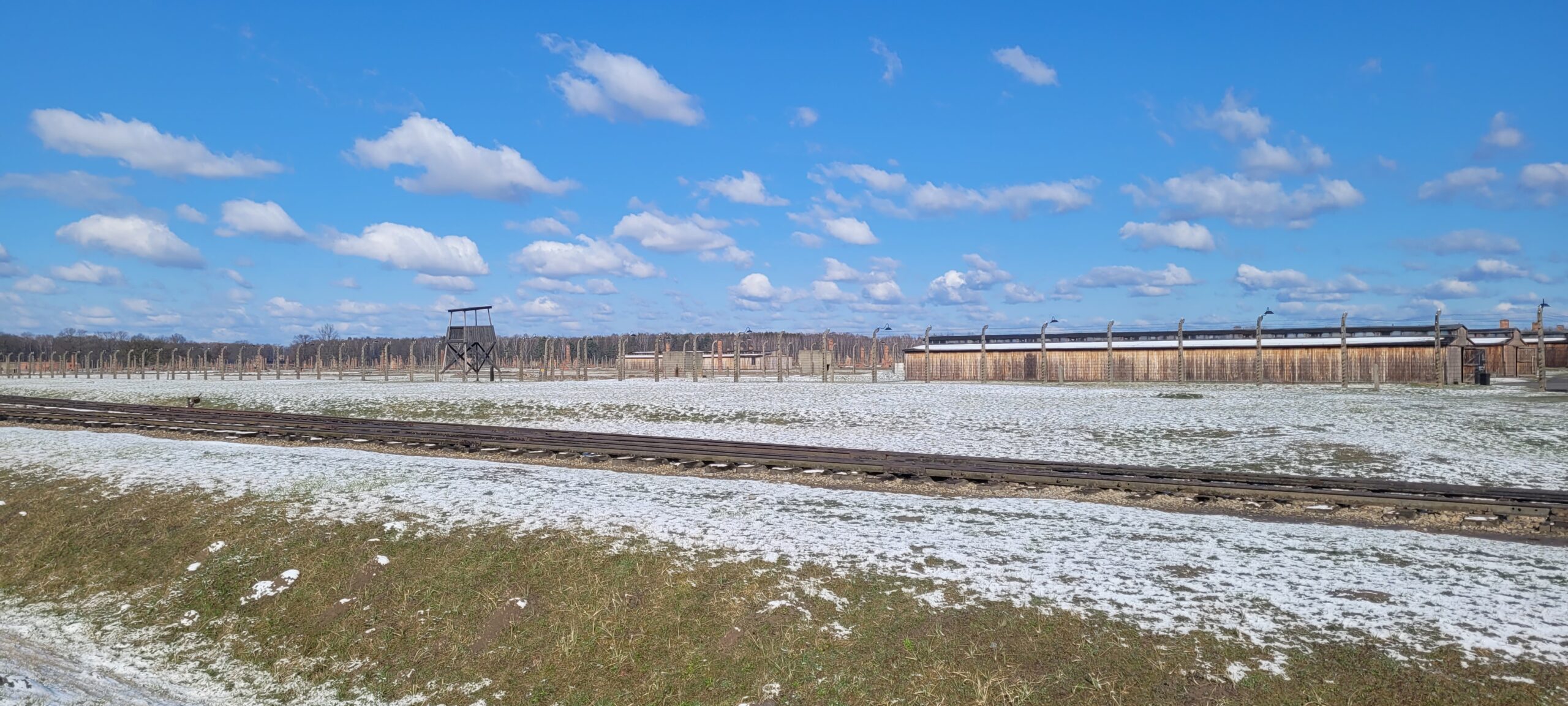auschwitz-birkenau